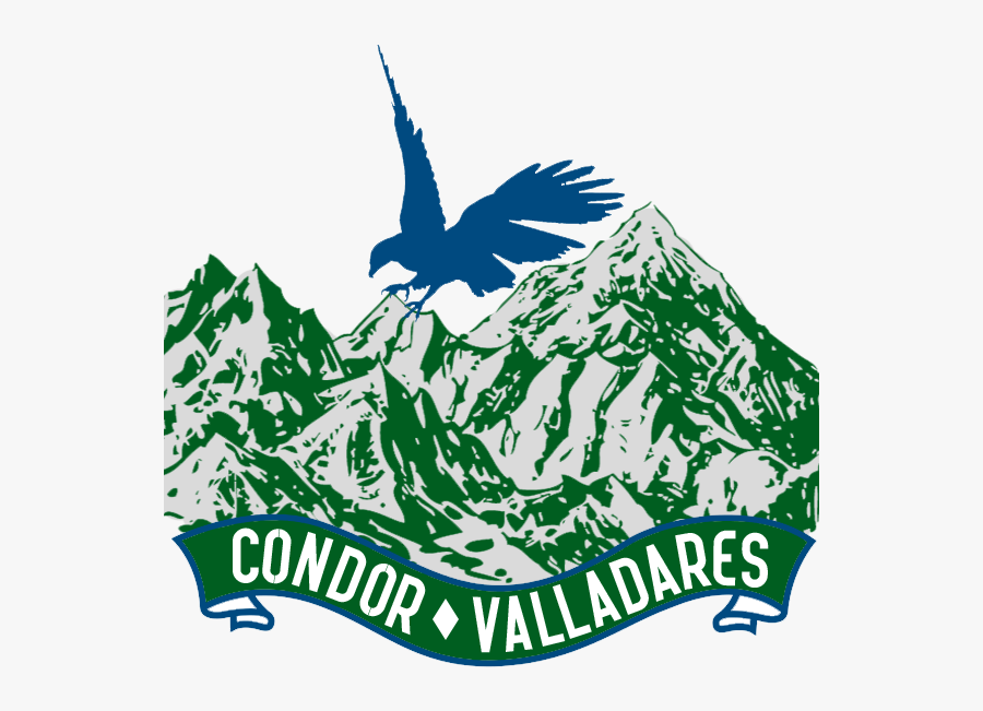 Explore The Unseen Rectangular Pillow, Transparent Clipart