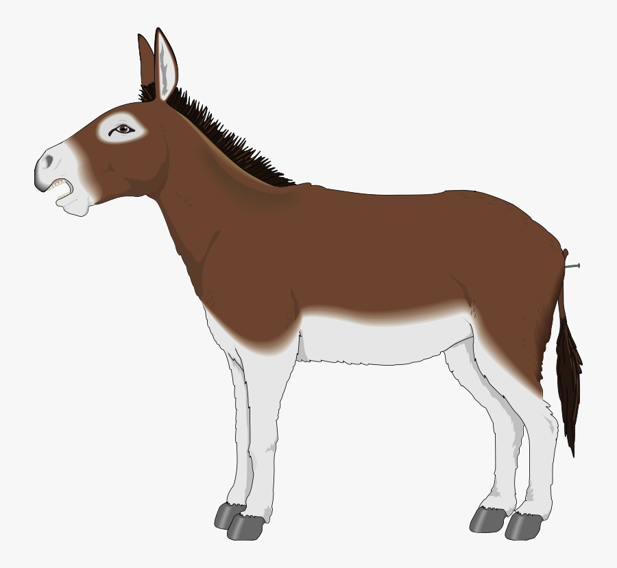 Donkey Clipart, Transparent Clipart