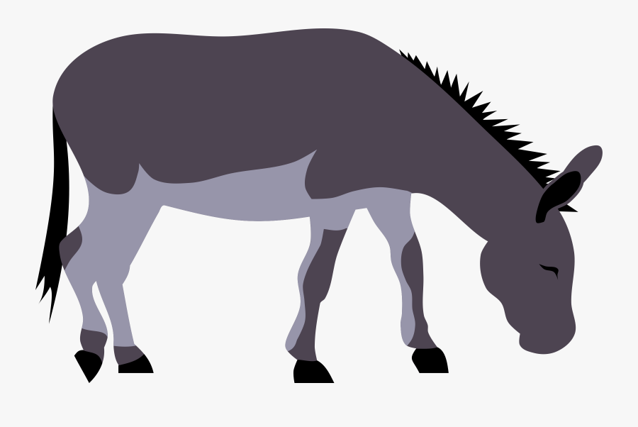 Wild Donkey By Rones, Transparent Clipart