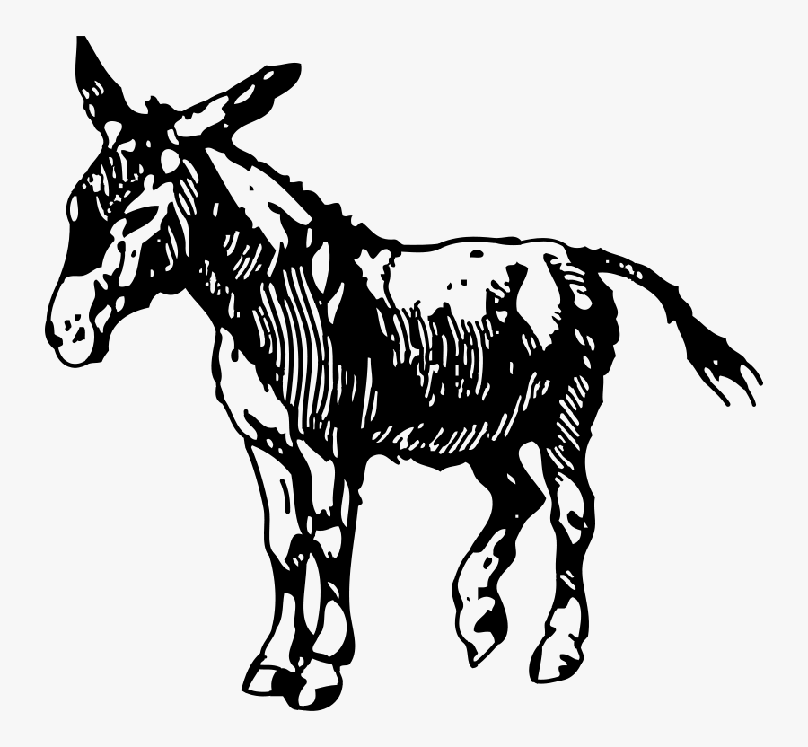 Donkey Images Svg
