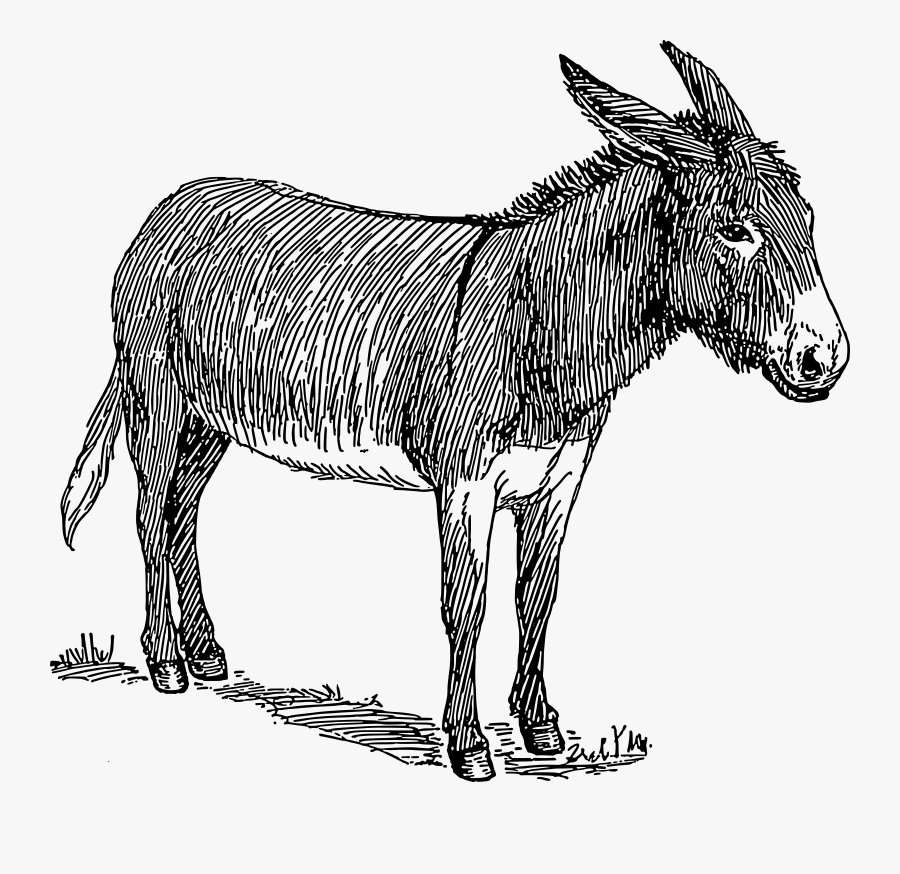 Clipart Donkey 2 Image - Free Donkey Clipart Black And White, Transparent Clipart