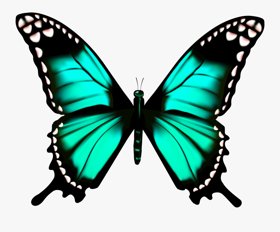 Galaxy Clipart Transparent - Clip Art Transparent Butterfly, Transparent Clipart