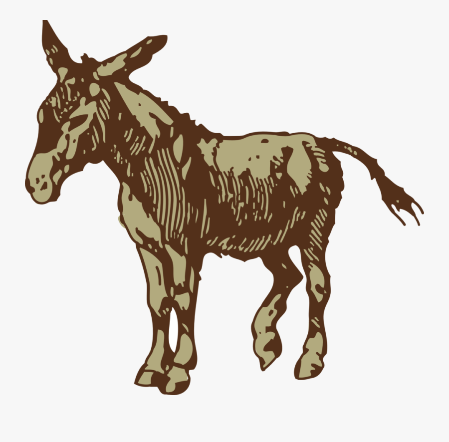 Donkey - Dont Try To Explain Yourself To Stupid People You Re, Transparent Clipart