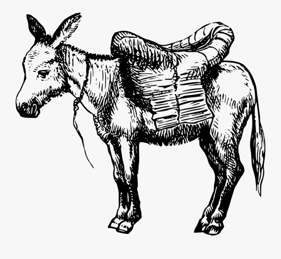 Donkey,art,livestock - Ass Clipart Black And White, Transparent Clipart