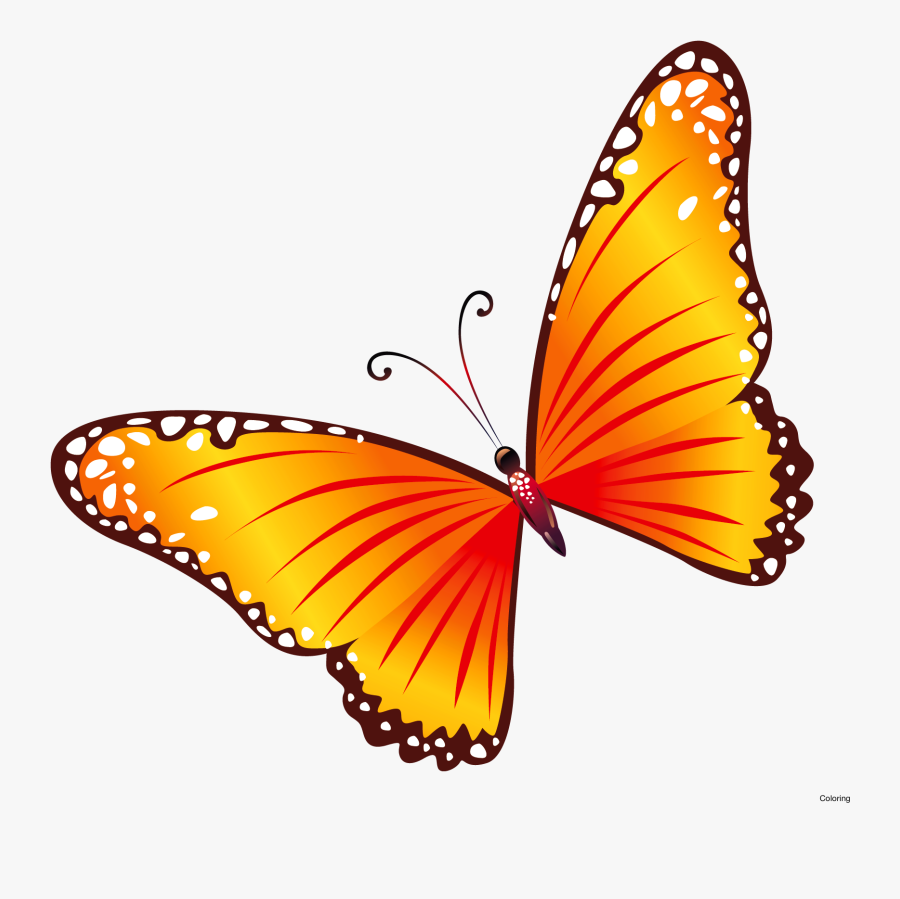 Transparent Butterfly Border Clipart - Transparent Butterfly Clip Art, Transparent Clipart