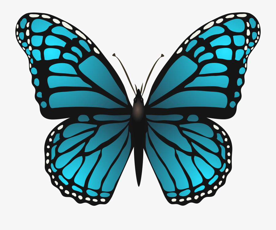 Hd Png Transparent Blue - Blue Butterfly Clipart Png, Transparent Clipart