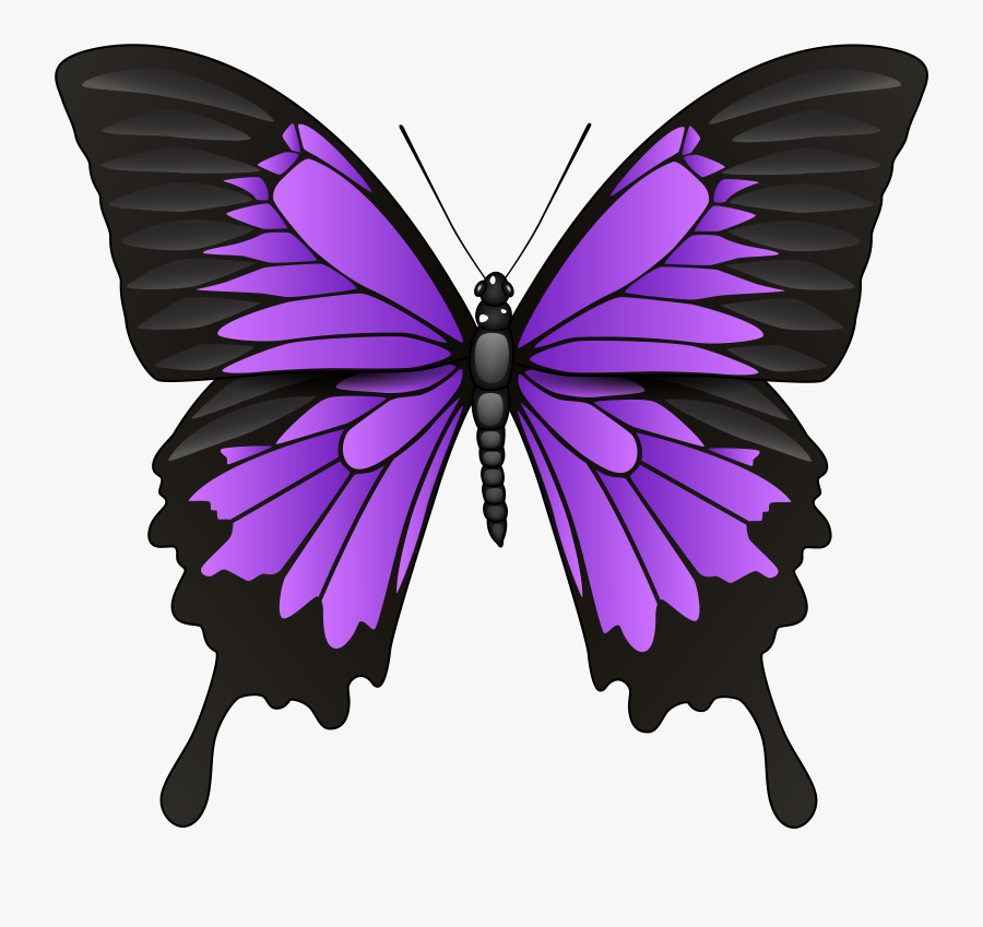 Butterflies Clipart Png Format, Transparent Clipart