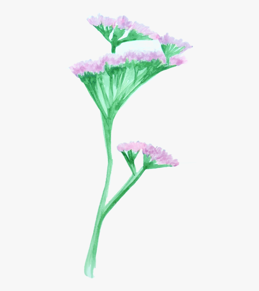 Mason Jar Bouquets Sprouts Flowers - Arum, Transparent Clipart
