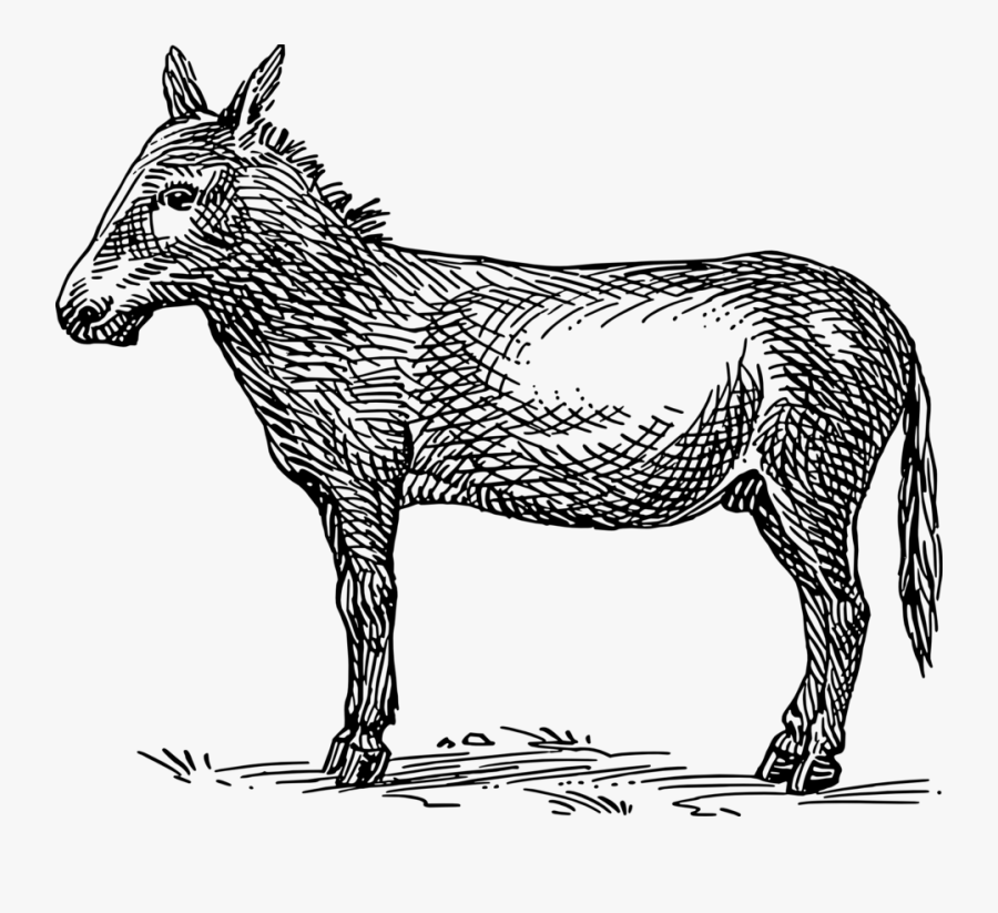 Free Vector Donkey Clip Art - Donkey Clip Art, Transparent Clipart