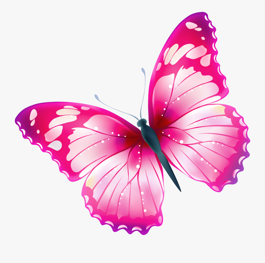 Large Transparent Multi Color Butterfly Png Clipart - Transparent Background Butterfly Clipart, Transparent Clipart