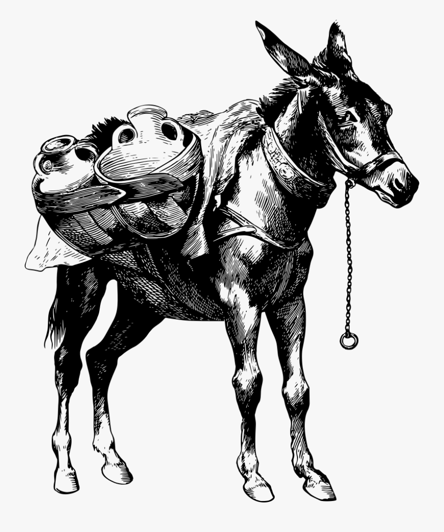 Donkey,pony,livestock - Donkey And Horse Working Transparent, Transparent Clipart