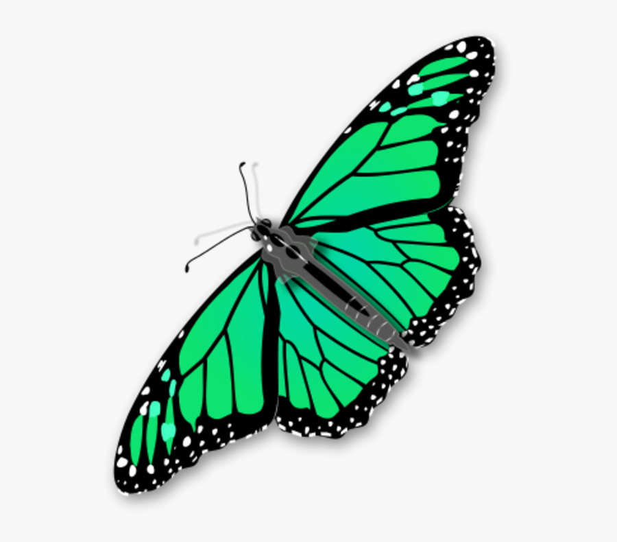 Transparent Butterflies Clipart, Transparent Clipart