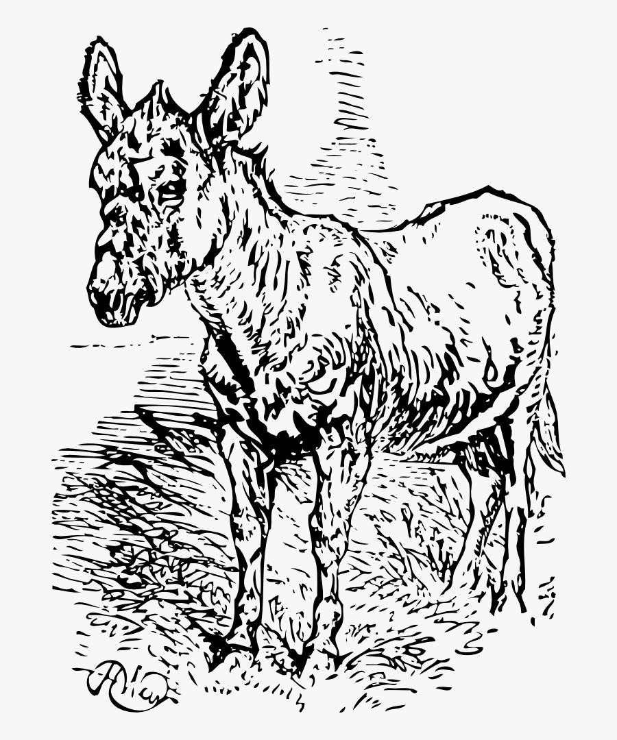 Old Donkey, Transparent Clipart
