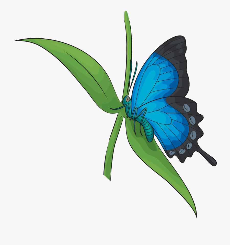 Butterflies Clipart, Transparent Clipart
