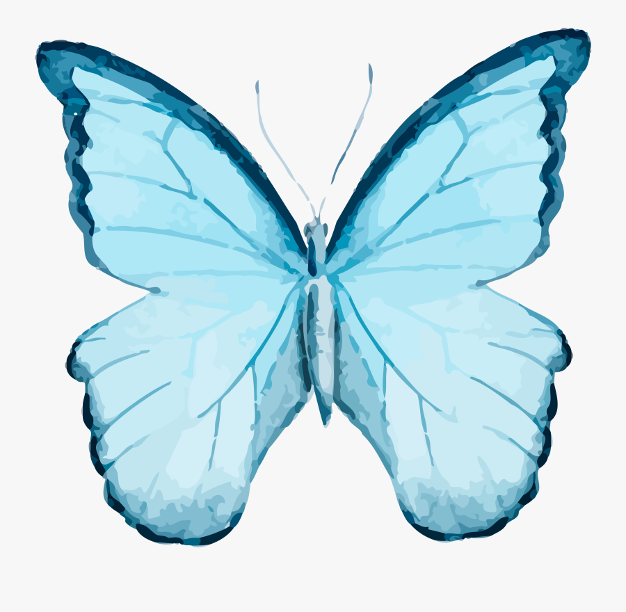 Butterflies Clipart, Transparent Clipart