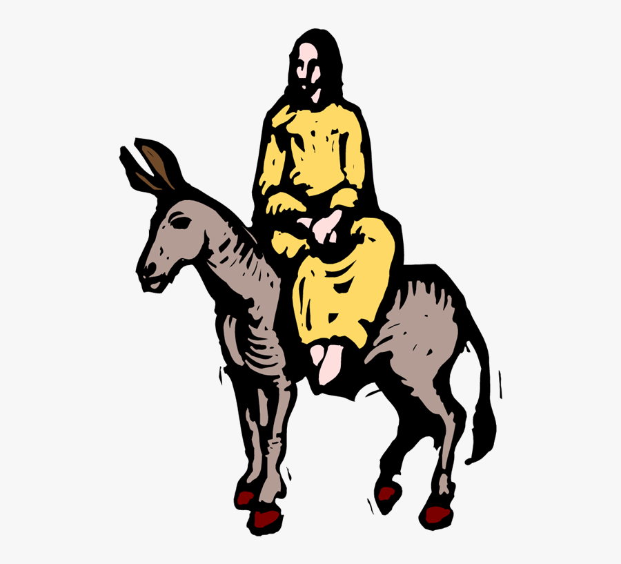 Transparent Donkey, Transparent Clipart
