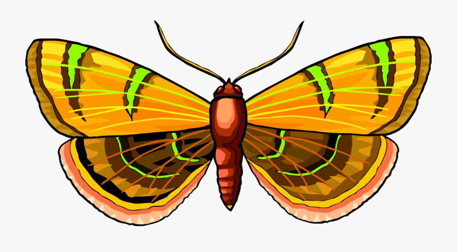Monarch Butterfly Moth Pieridae Brush Footed Butterflies, Transparent Clipart