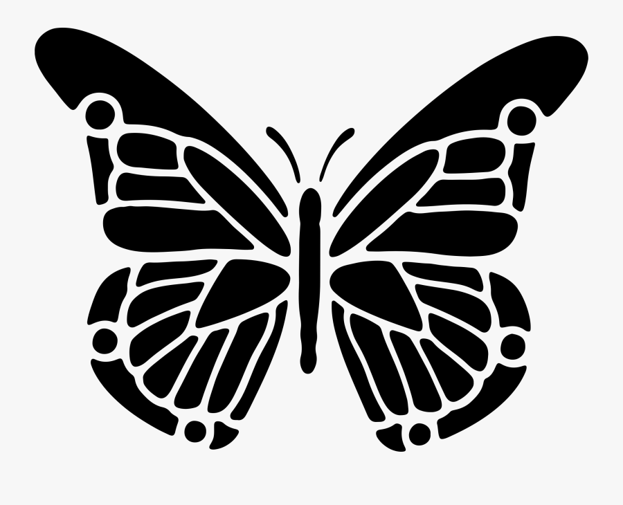 Symmetry,monochrome Photography,moths And Butterflies, Transparent Clipart