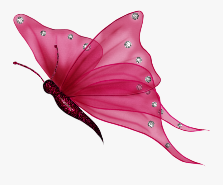 Butterfly Png, Transparent Clipart