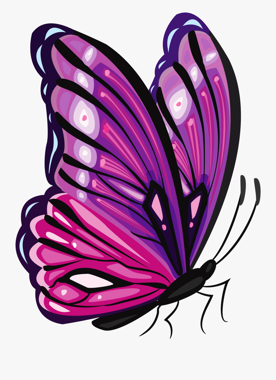 Purple Butterfly Png Clipart Picture Cliparts, Transparent Clipart