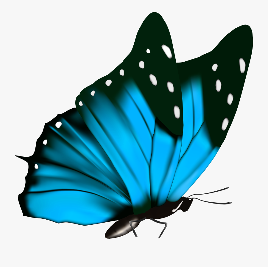 Butterflies Clipart, Transparent Clipart