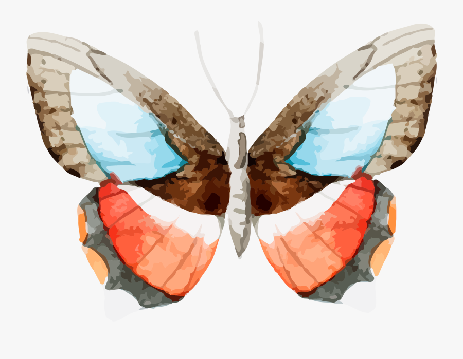 Butterflies Clipart, Transparent Clipart