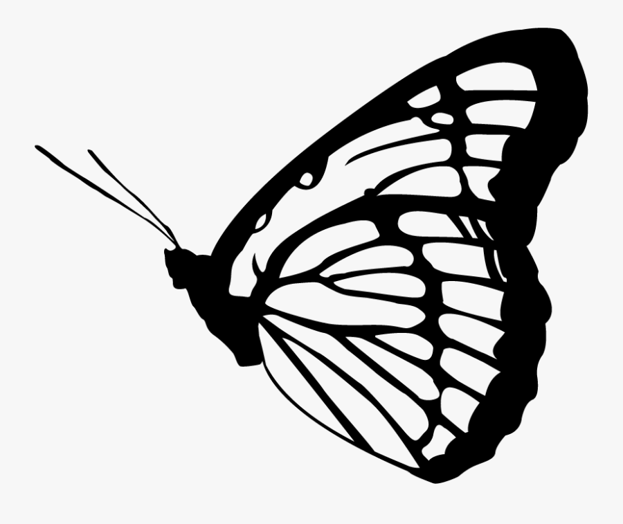Monarch Butterfly Clipart Vector, Transparent Clipart