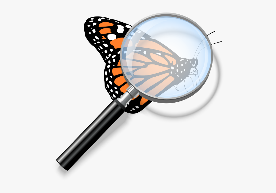 Transparent Clipart Insects And Bugs, Transparent Clipart