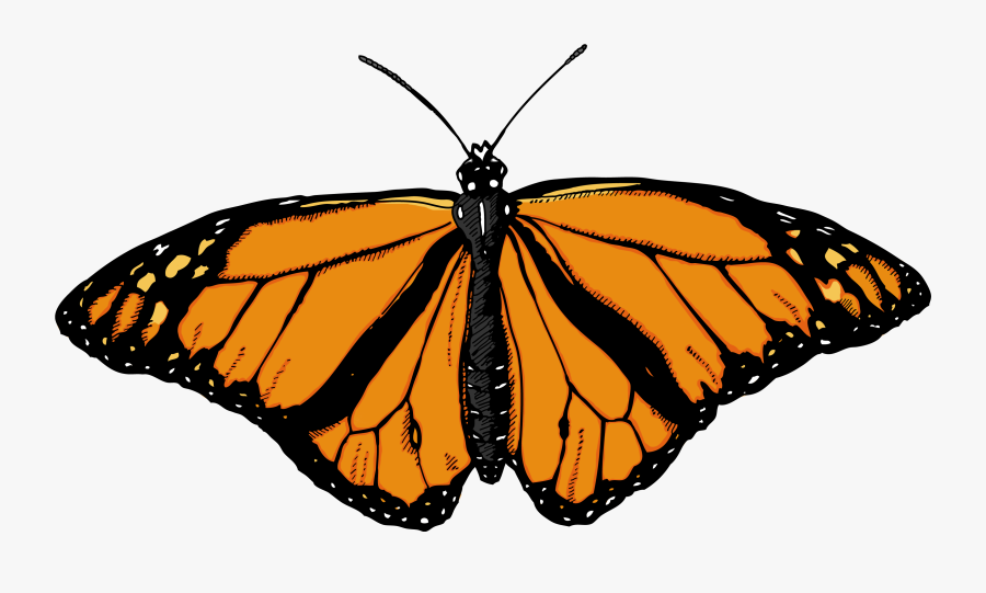 Butterflies Clipart, Transparent Clipart