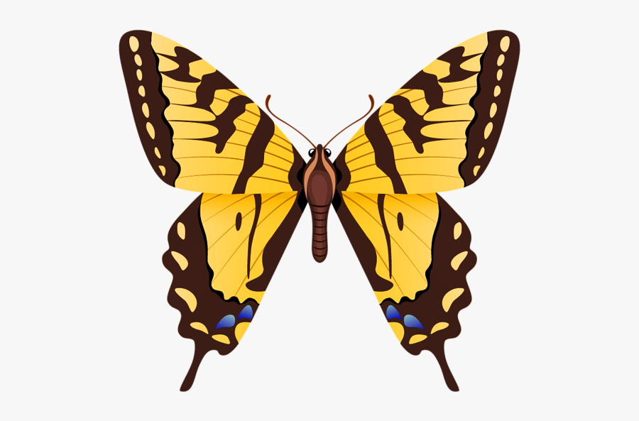 Butterflies Clipart, Transparent Clipart