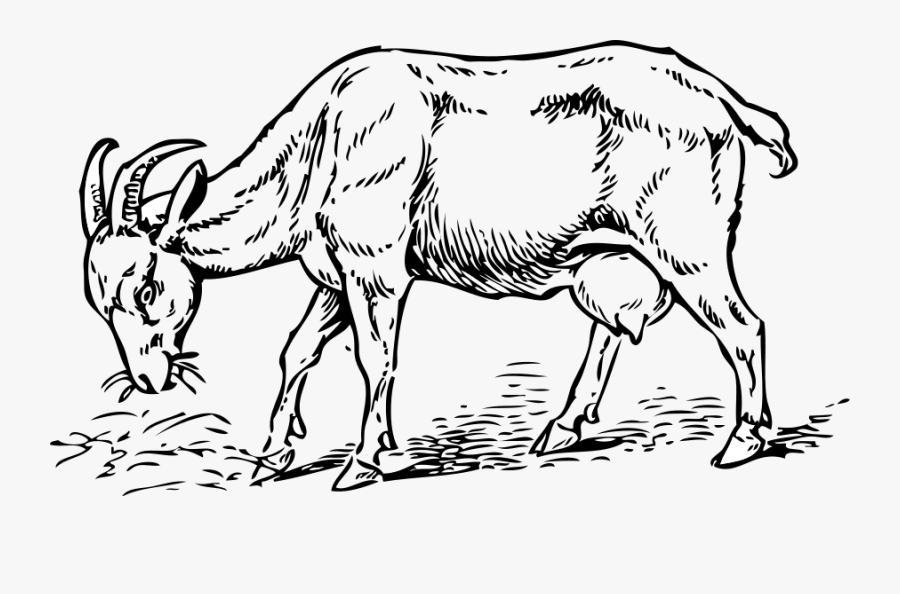 Collection Of Drawing, Transparent Clipart