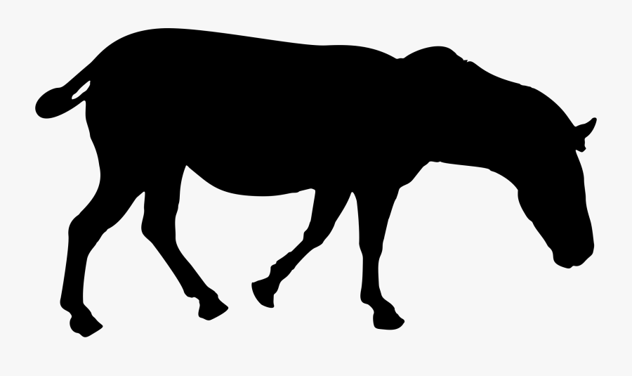 Donkey,pony,livestock, Transparent Clipart