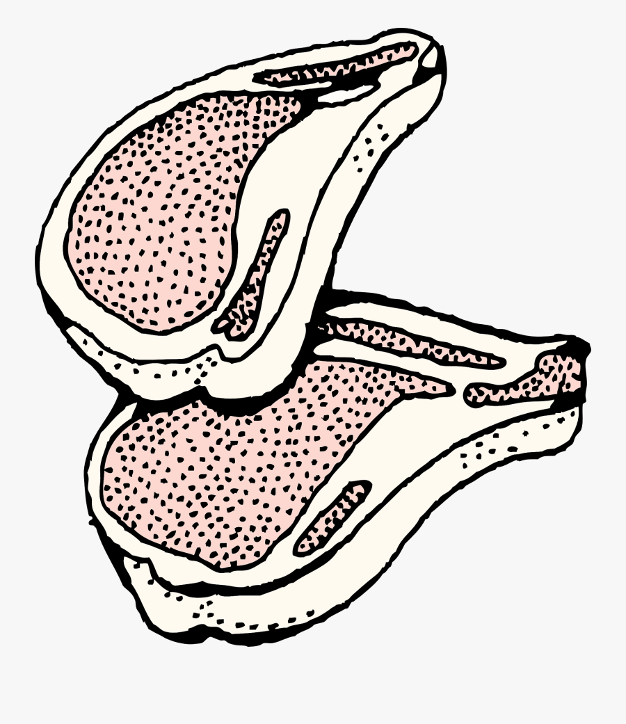 Chops, Transparent Clipart