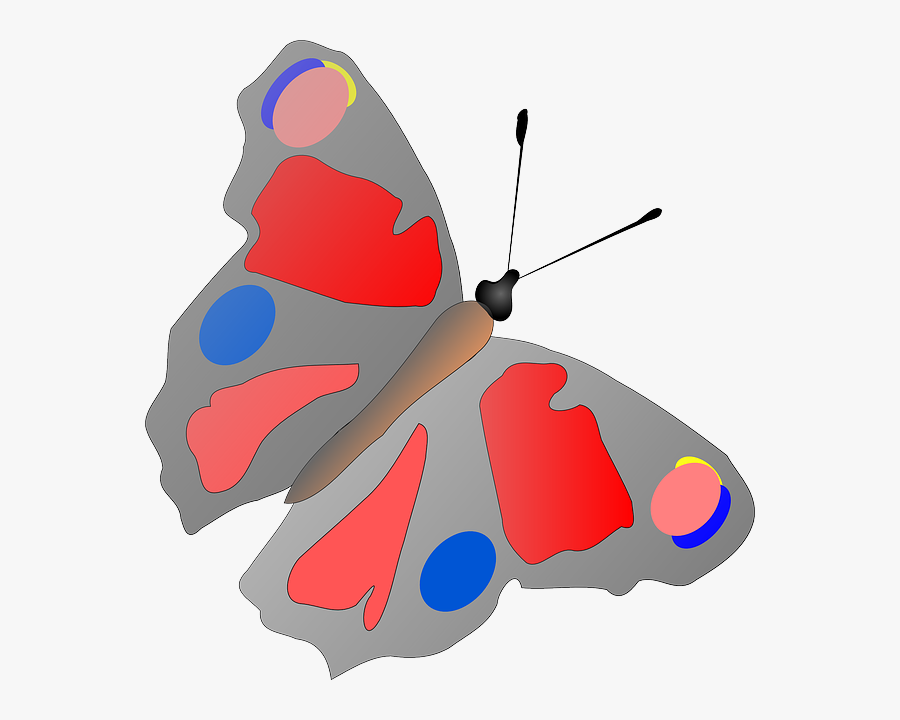 Colorful Butterfly Svg Clip Arts, Transparent Clipart