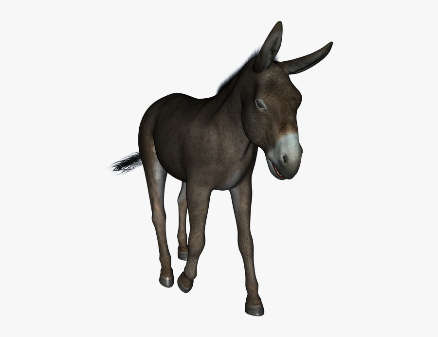 Donkey Clipart, Transparent Clipart