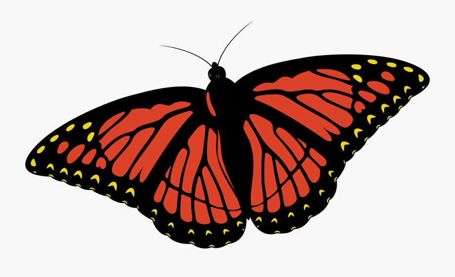 Butterflies Clipart, Transparent Clipart