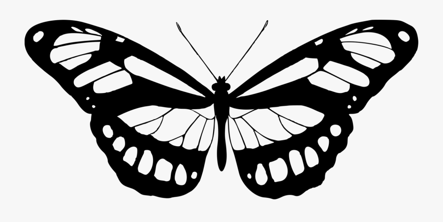 Butterfly Images Black And White, Transparent Clipart
