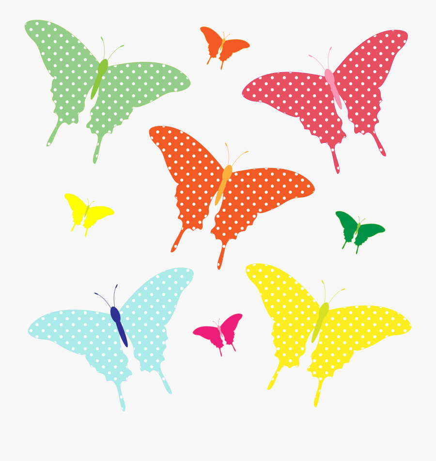 Butterfly X Colorful Butterflies Clipart Free Stock, Transparent Clipart