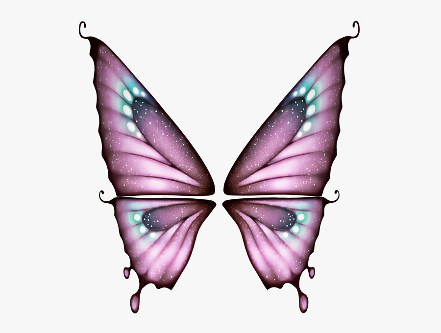 Clipart Butterflies Butterfly Clip Art, Butterflies,, Transparent Clipart
