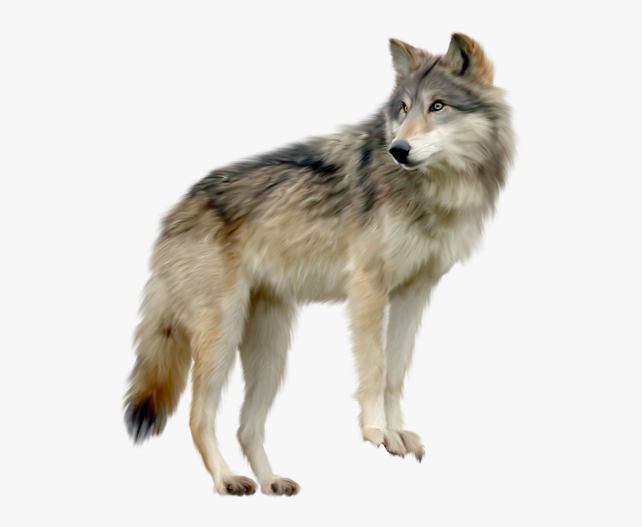 Wolf Clip Art Png, Transparent Clipart