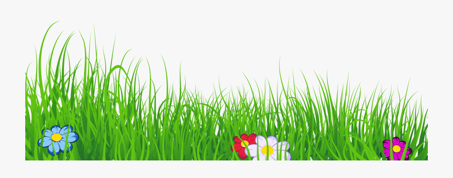 Ground Clipart Clear Background Grass, Transparent Clipart