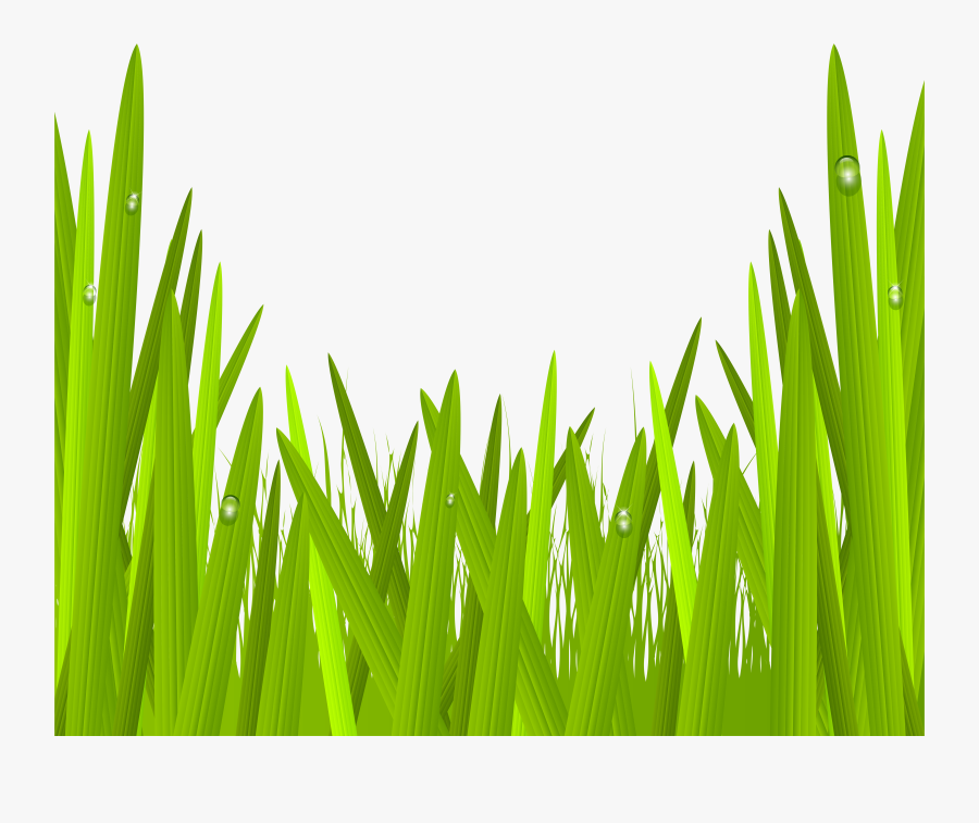 Grass Clip Art, Transparent Clipart