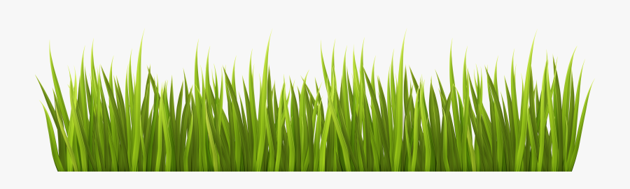 Spring Grass Png Transparent Clip Art Image - Transparent Grass Clipart Png, Transparent Clipart