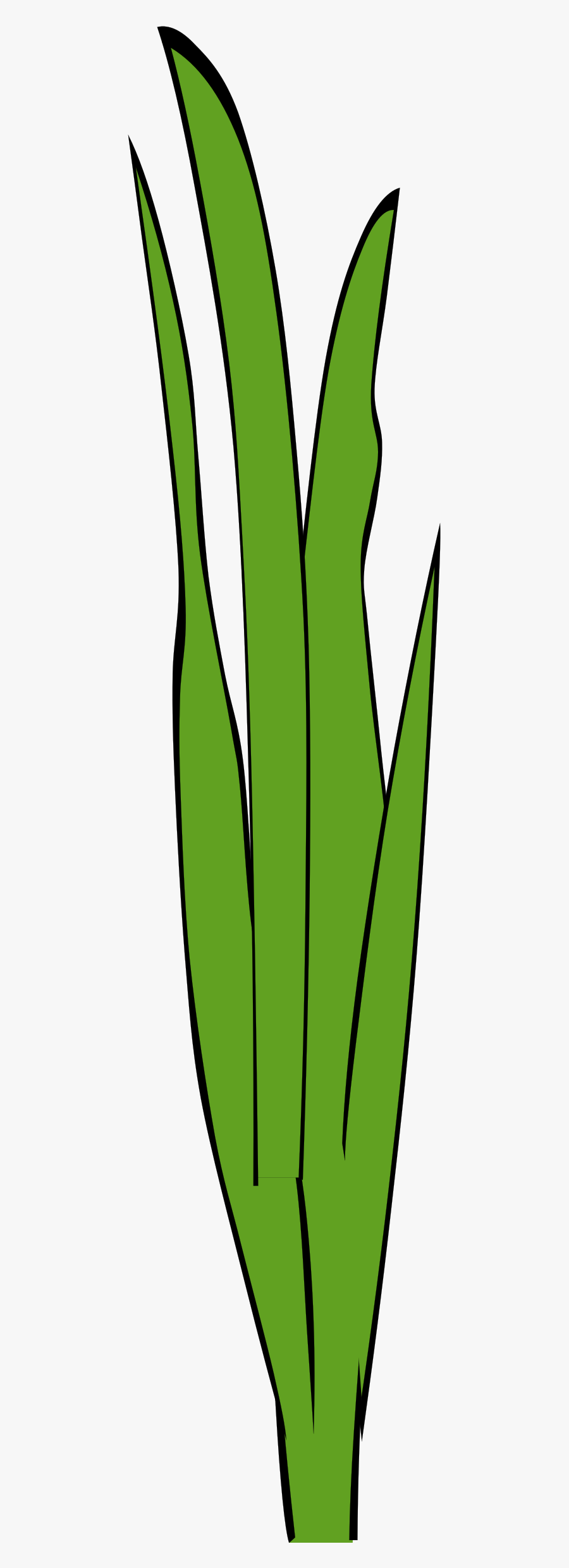 Sea Grass Clipart Animated - Cartoon Grass Blades Png, Transparent Clipart