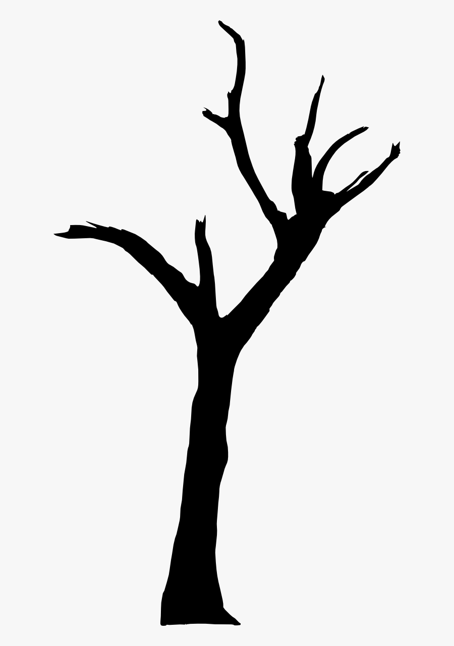 Tree Png Silhouette - Deadvlei, Transparent Clipart