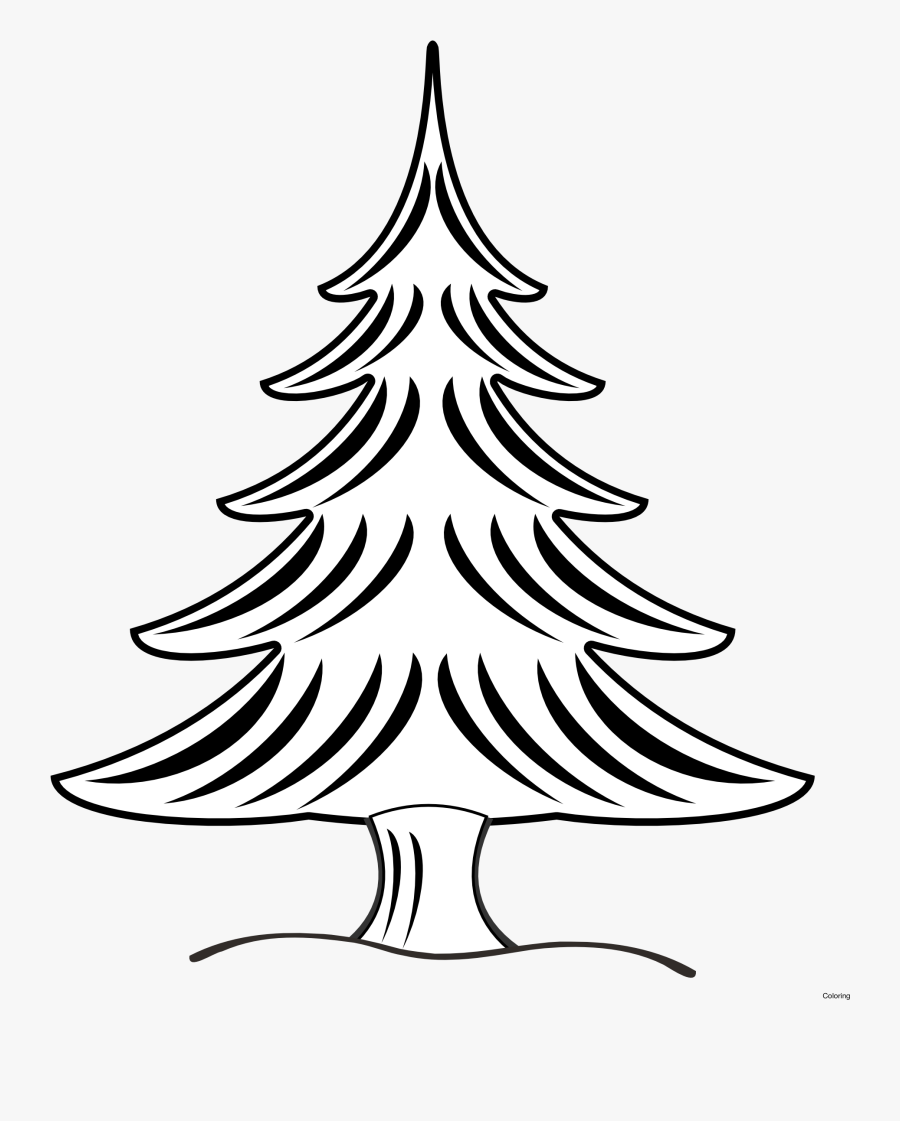 White Pine Drawing At Getdrawings - Christmas Tree Clipart Black And White Free, Transparent Clipart