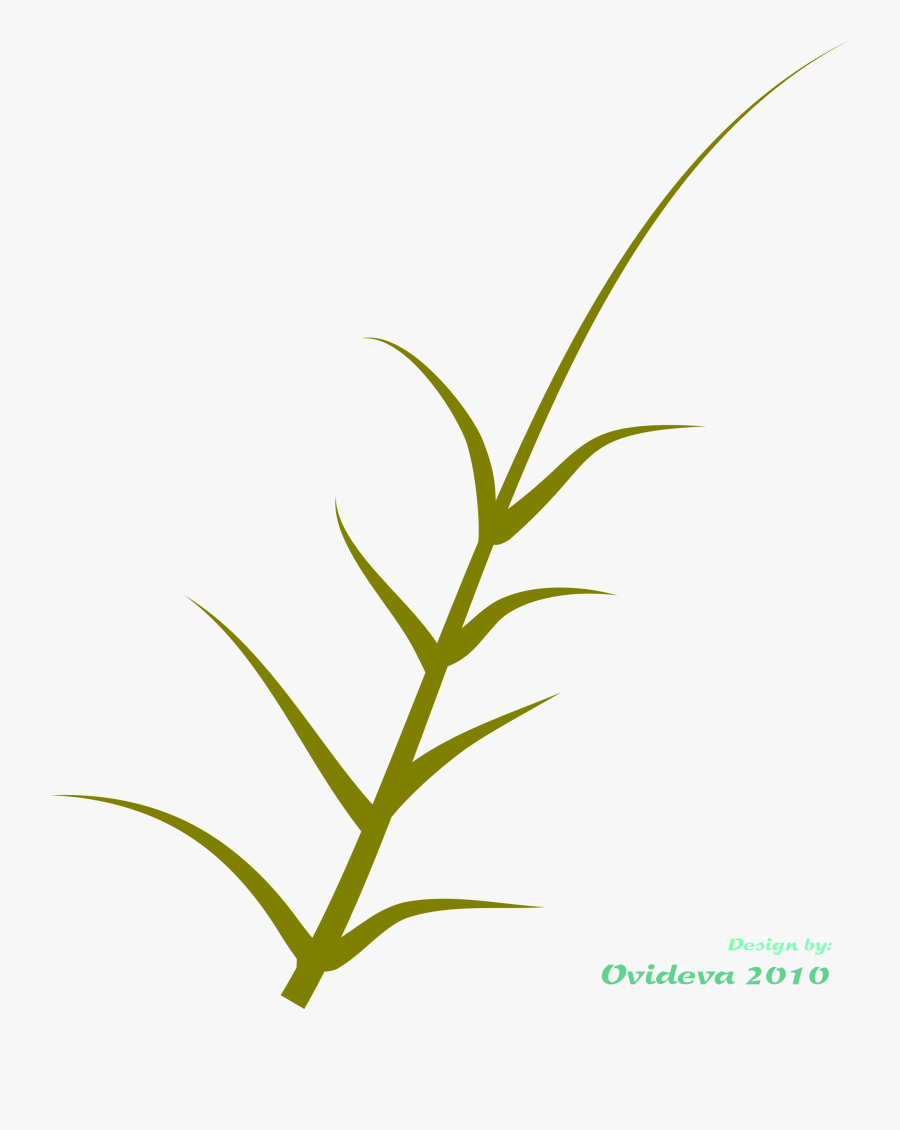 Grass Clipart , Png Download - Clip Art, Transparent Clipart
