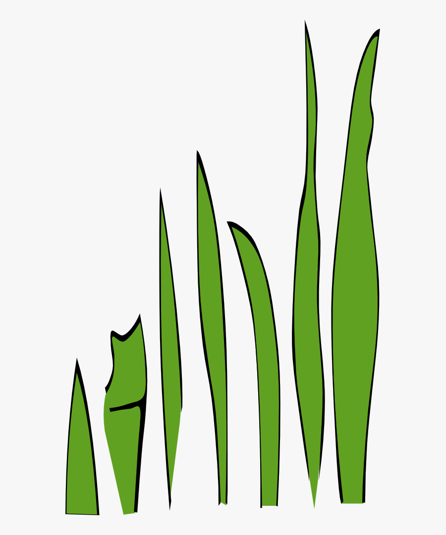 Transparent Grass Blade Png - Grass Clip Art, Transparent Clipart
