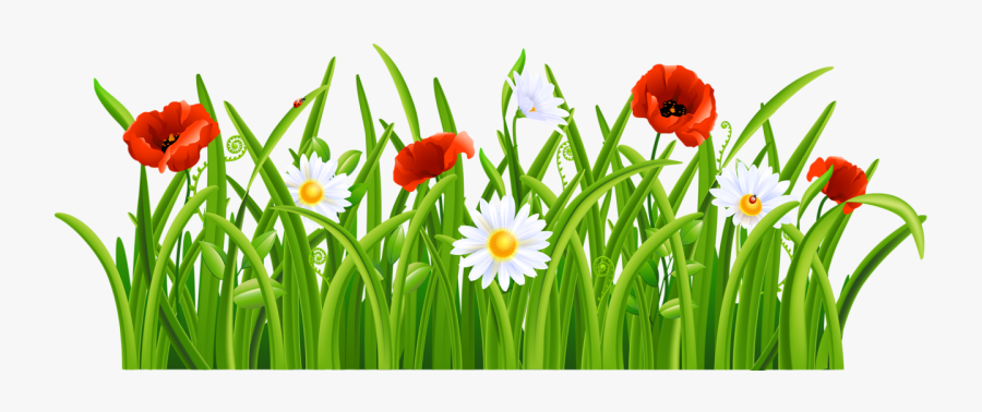 Flower And Grass Clipart - Grass With Flower Png, Transparent Clipart