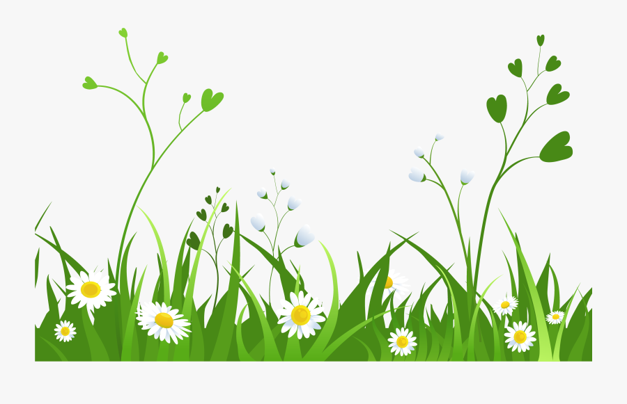 Grass Png Hd Nature Clipart Transparent Background- - Nature Clipart Transparent Background, Transparent Clipart